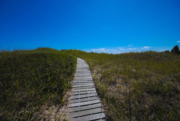This Beautiful Boardwalk Trail In Wisconsin Is The Most Unique Hike Around