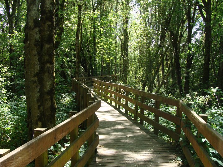 This Enchanting Oregon Boardwalk Hike Will Leave You Completely Charmed