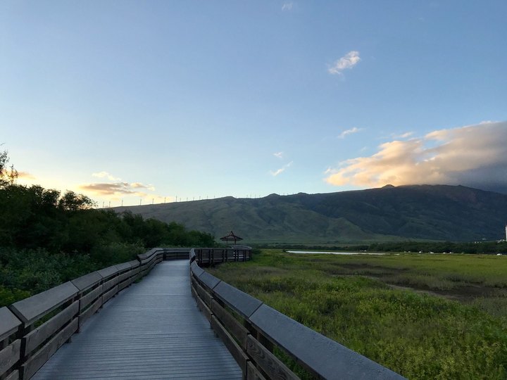 This Beautiful Boardwalk Trail In Hawaii Is The Most Unique Hike Around