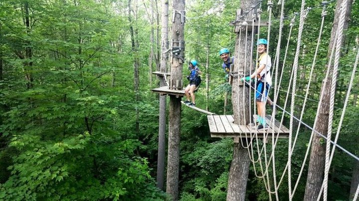 The Treetop Trail That Will Show You A Side Of West Virginia You've Never Seen Before