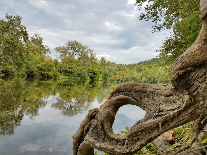 The One Virginia Park That Looks Like Something Out Of A Dr. Seuss Book