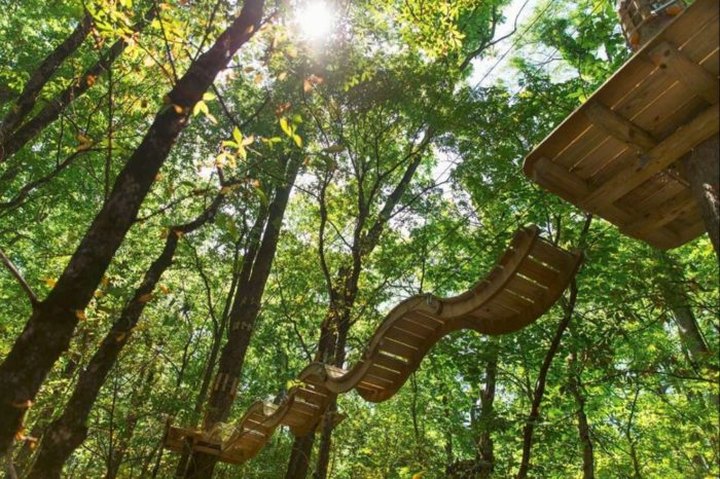 The Treetop Trail That Will Show You A Side Of Indiana You've Never Seen Before