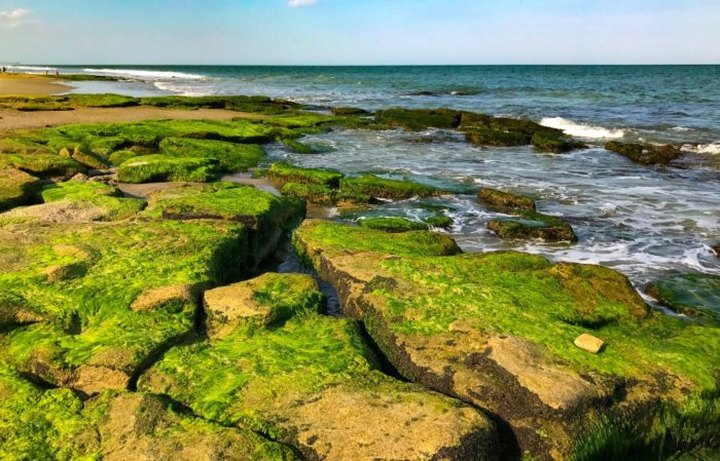 This Hidden Trail In North Carolina Leads You To A Geologic Beach Wonder