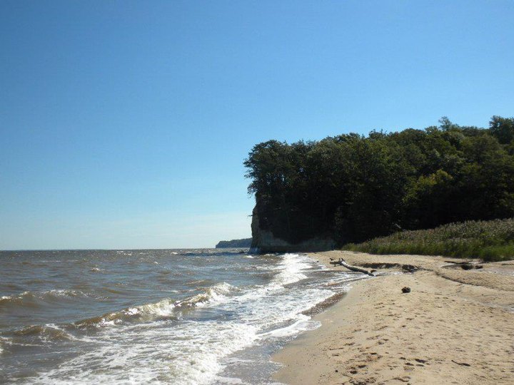 A Trip To This Fossil Beach In Virginia Is An Adventure Like No Other