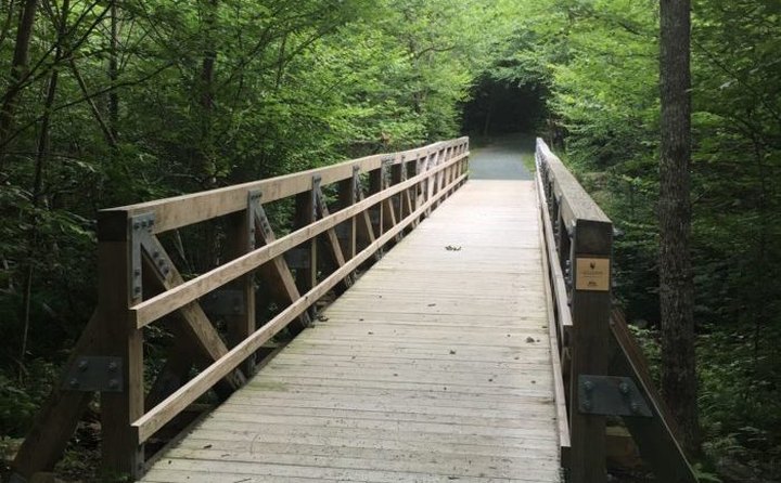 There's A Boardwalk Trail Hiding In The Middle Of A Virginia Forest And You'll Want To Find It
