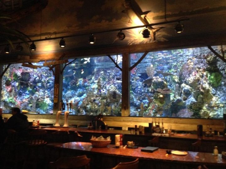 Visit Mississippi's Aquarium Restaurant For An Unforgettable Dining Experience