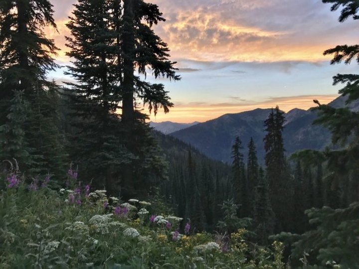 This Scenic Hike Will Make You Fall In Love With Montana All Over Again