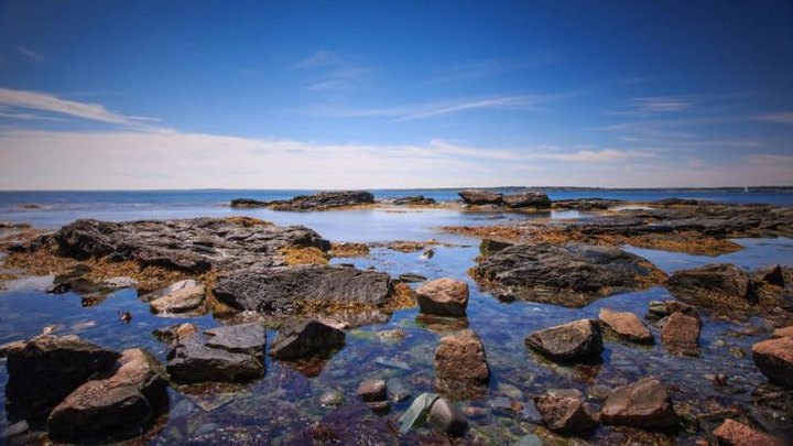 The One Beach In Rhode Island That You Absolutely Must Visit At Low Tide