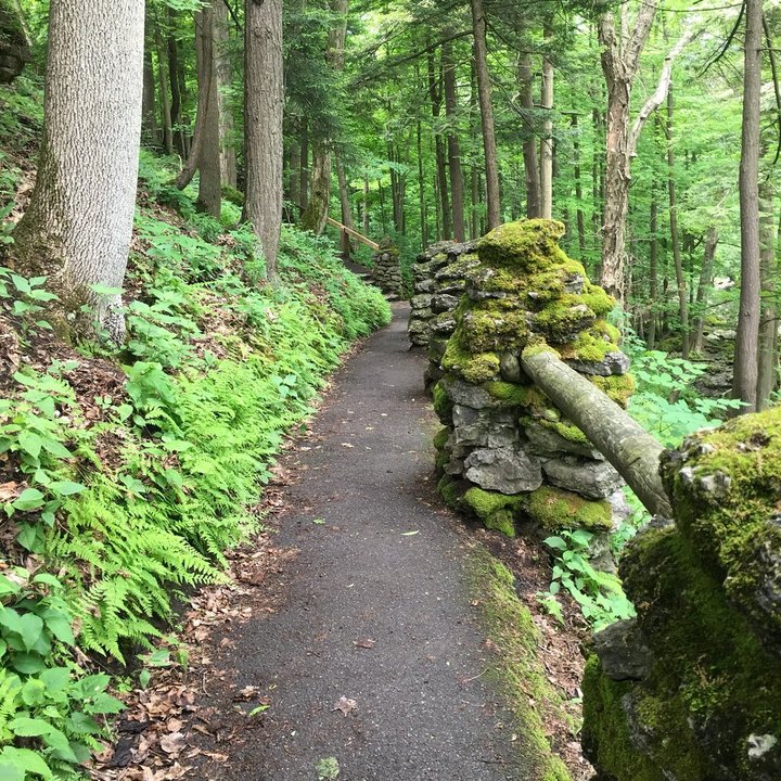 9 Easy Hikes Around Buffalo You’ll Want To Knock Off Your Summer Bucket List