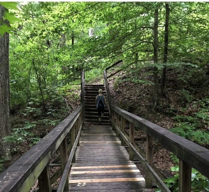 The Easy Trail In Mississippi That Will Take You To The Top Of The World