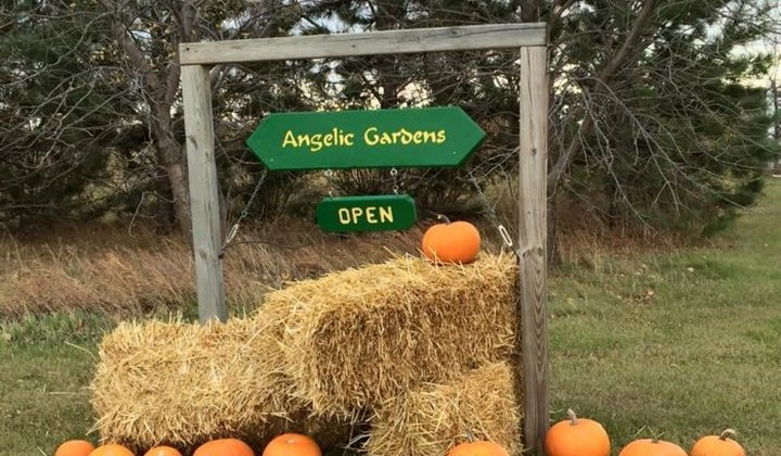 You'll Have Loads Of Fun At This Pick-Your-Own Produce Farm In North Dakota
