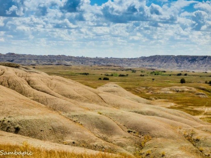 This Secret Site In South Dakota Is The Best Place To Watch Wildlife Roam