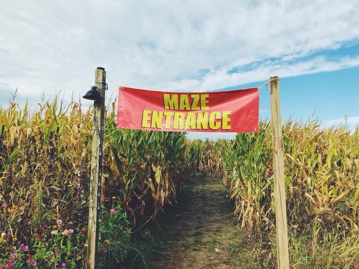 Get Lost In This Awesome 8-Acre Corn Maze In Ohio This Autumn