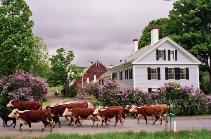 These 5 New Hampshire Farm Getaways Will Absolutely Charm You