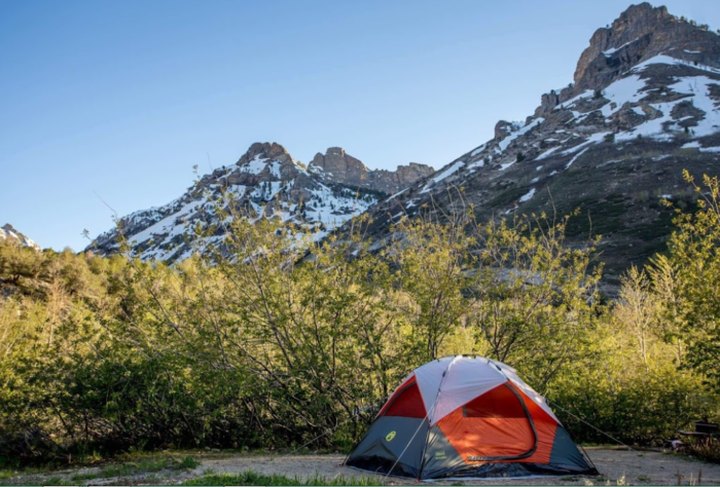 This Hidden Canyon Campground In Nevada Is Like A Little Slice Of Paradise
