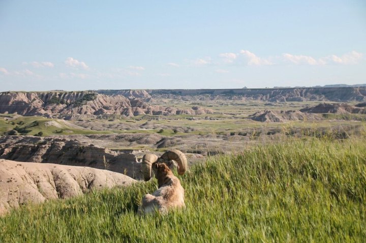 The Breathtaking Overlook In South Dakota That Lets You See For Miles And Miles