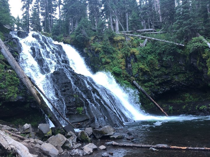Your Kids Will Love This Easy 2-Mile Waterfall Hike Right Here In Montana