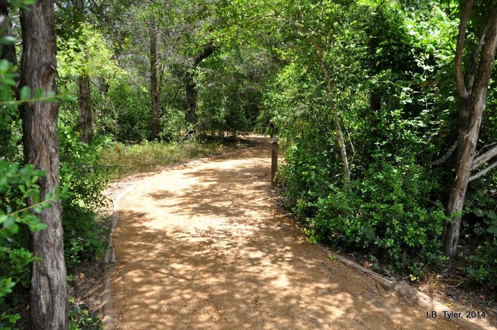 You Can Do Almost Anything At This Epic Nature Park Near Austin