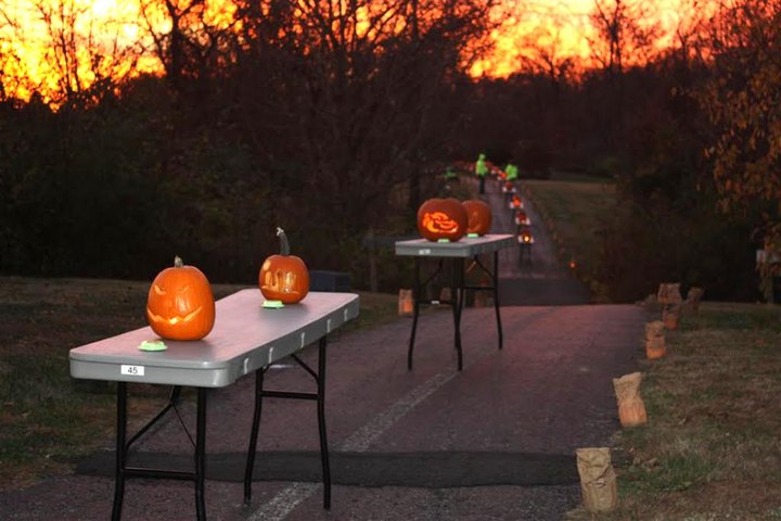 There's A Glowing Pumpkin Trail Coming To Cincinnati And It'll Make Your Fall Magical