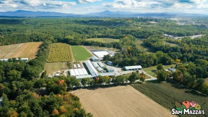 Nothing Says Fall Is Here More Than A Visit To Vermont's Charming Pumpkin Farm
