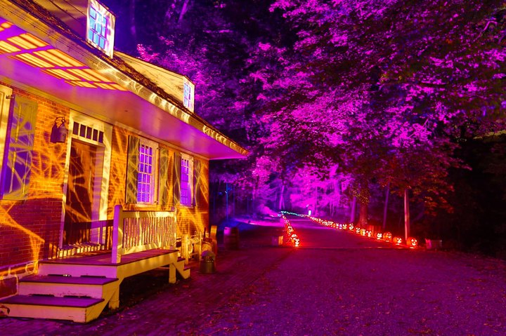 New York's Glowing Pumpkin Trail Is A Great Way To Celebrate Fall