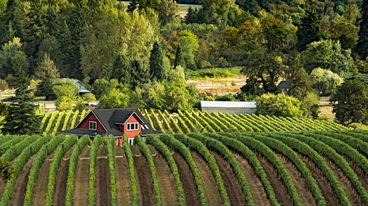 3 Underrated Wine Regions Around The U.S. You Simply Must Visit