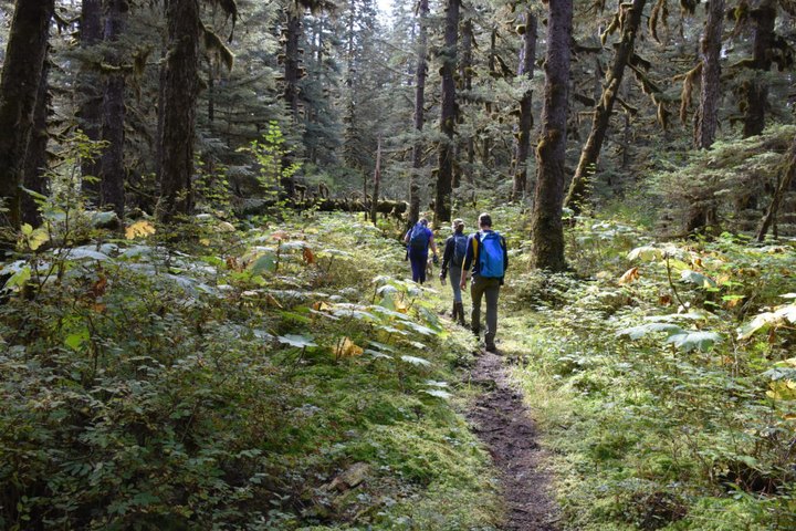 Take This Rainforest Trail In Alaska For An Enchanting Adventure