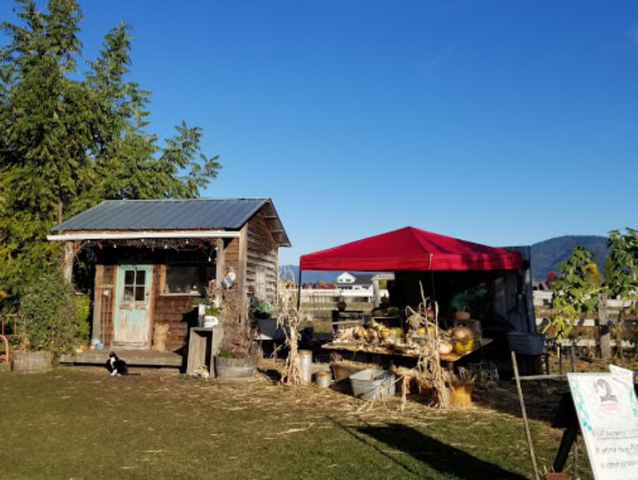 Nothing Says Fall Is Here More Than A Visit To Idaho's Charming Pumpkin Farm