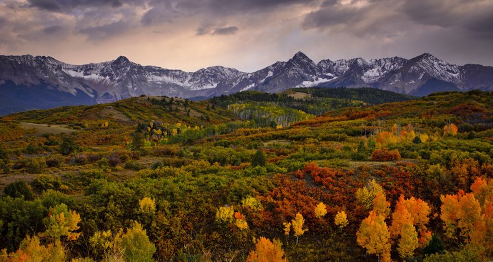 The Best Times And Places To View Fall Foliage In Colorado