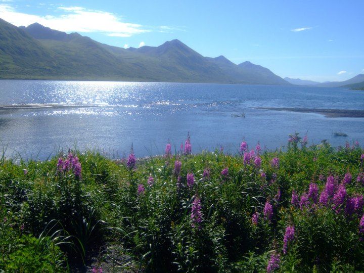 The Alaska Hike That Leads To A Pristine Lake Surrounded By Wildflowers