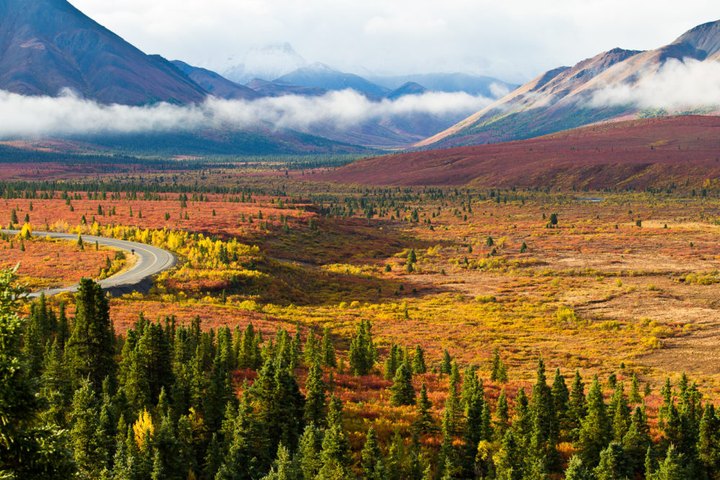 You'll Be Happy To Hear That Alaska's Fall Foliage Is Expected To Be Bright And Bold This Year