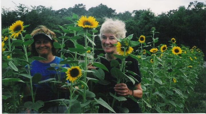 Pick Your Own Sunflowers At This Charming Farm Hiding In Small Town Mississippi