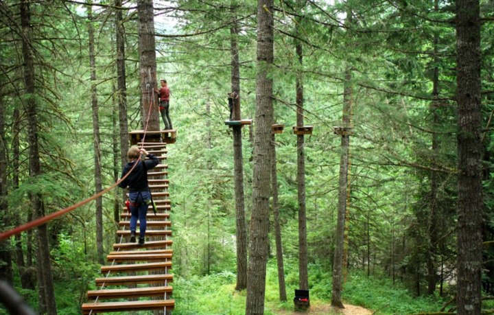 The Treetop Trail That Will Show You A Side Of Oregon You've Never Seen Before