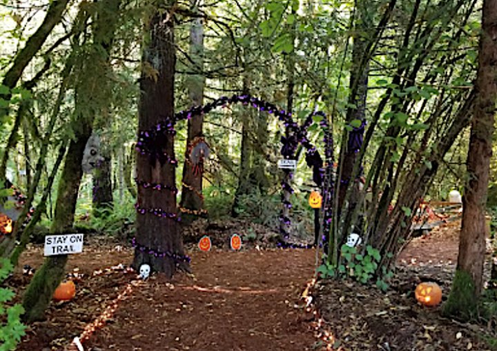 Take This Halloween Trail In Oregon For A Fall You'll Never Forget