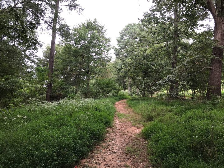 The One-Of-A-Kind Trail In Georgia That Will Take Hikers Through A Fabulous Farm