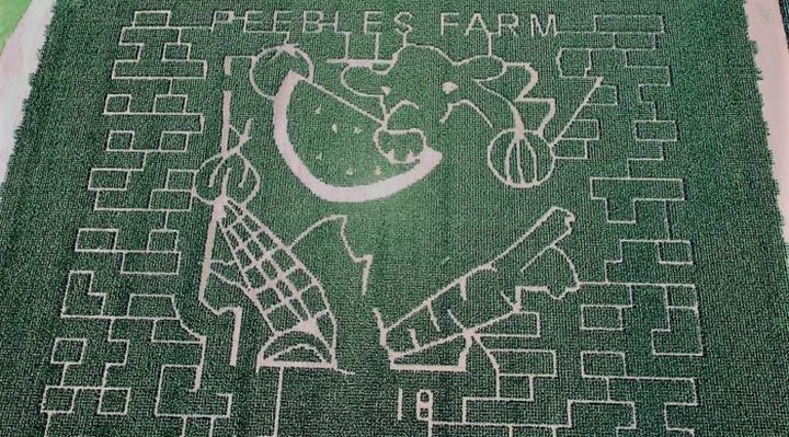 Get Lost In This Awesome 16-Acre Corn Maze In Arkansas This Autumn