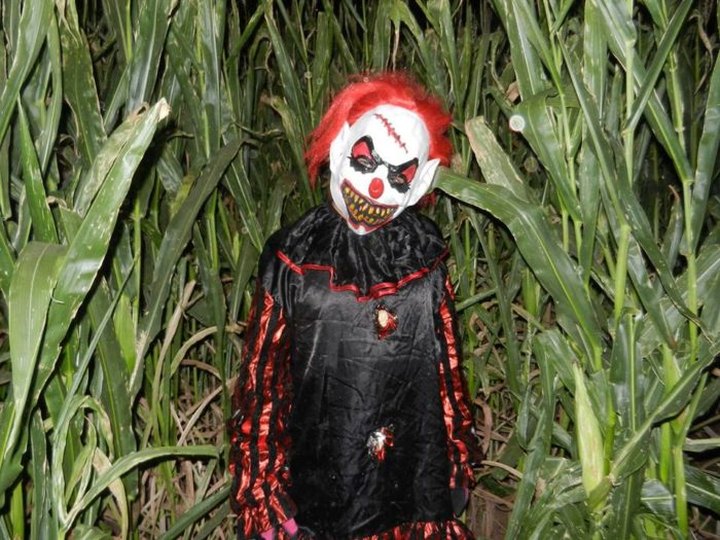 You'll Never Unsee The Horrors Of This Haunted Corn Maze In Arizona