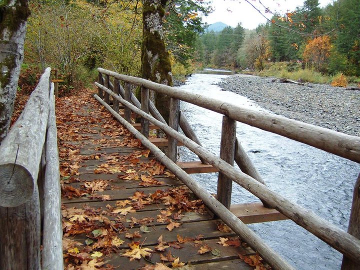 This Easy Fall Hike In Oregon Is Under 2 Miles And You'll Love Every Step You Take