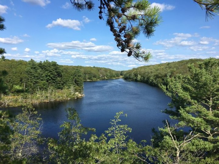 Most People Will Never See This Pretty Pond Hiding In Rhode Island