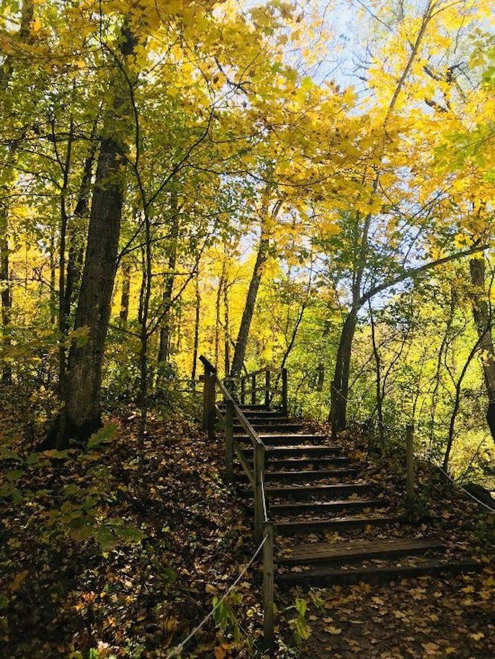 This Easy Fall Hike In Minnesota Is Under 2 Miles And You'll Love Every Step You Take