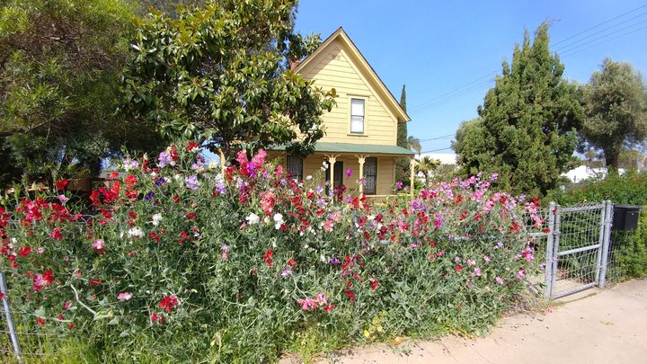 The Old-Fashioned Farm In Southern California That Captures The Best Of Small Town America