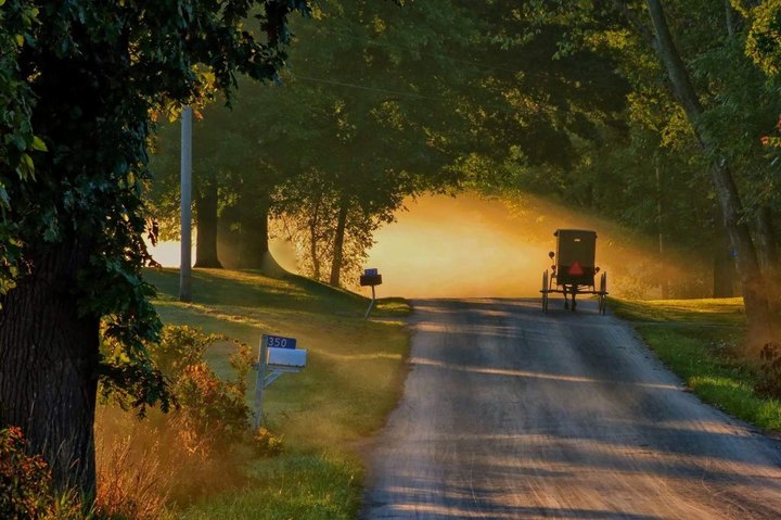 The Tiny Amish Town Near Pittsburgh That's The Perfect Day Trip Destination