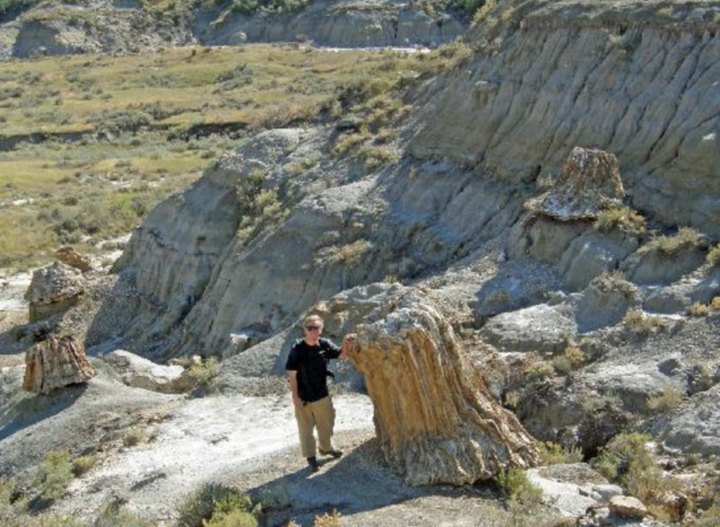 Hike To This Ancient Forest In North Dakota That's Home To 55-Million-Year-Old Trees