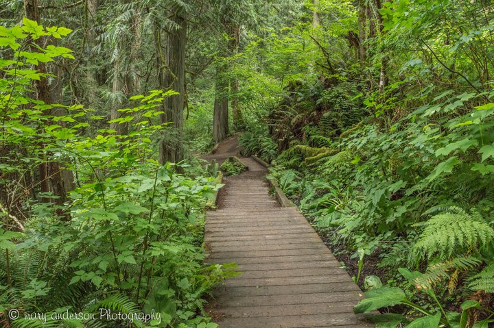 This Stunning Trail Shows Off 4 of Washington's Finest Natural Wonders