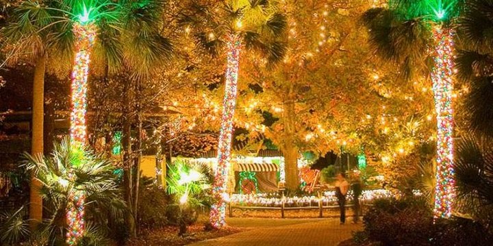 The Beautiful Christmas Walk In South Carolina You'll Want To Experience Again And Again