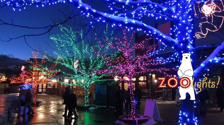 This Utah Zoo Has One Of The Most Spectacular Christmas Light Displays You’ve Ever Seen