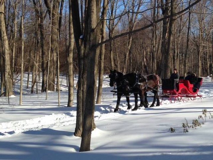 Enjoy A 45-Minute Sleigh Ride Through A Winter Wonderland At Wood Acres Farm In Connecticut