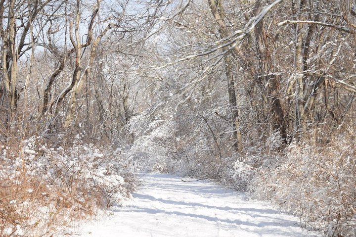 9 Picturesque Trails In Rhode Island That Are Perfect For Winter Hiking