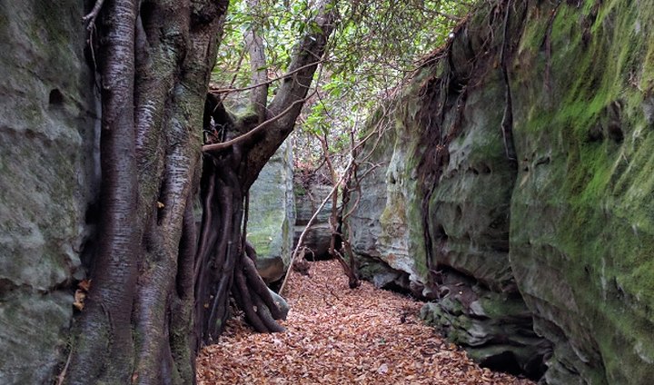 Hike Through Maryland's Rock Maze For An Adventure Like No Other