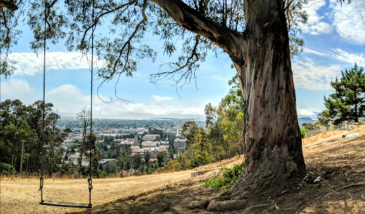 The Incredible Rope Swing Hike In Northern California You'll Want To Take This Year